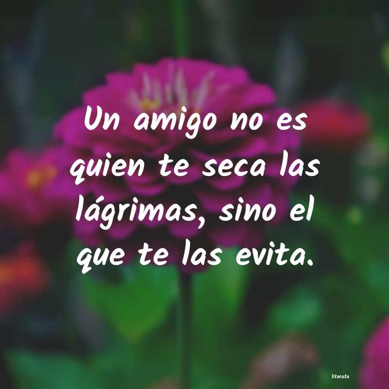 frases