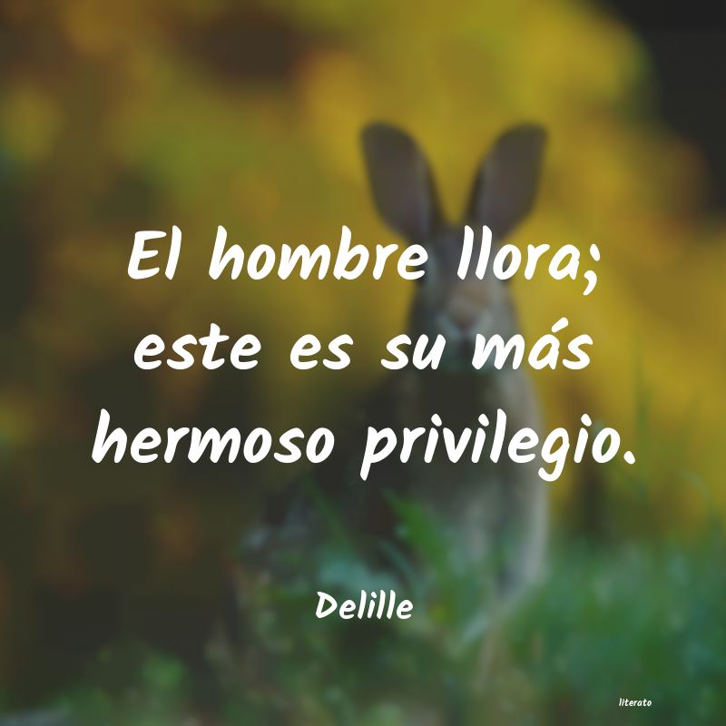 Frases de Delille