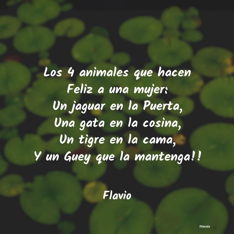 frases de Flavio