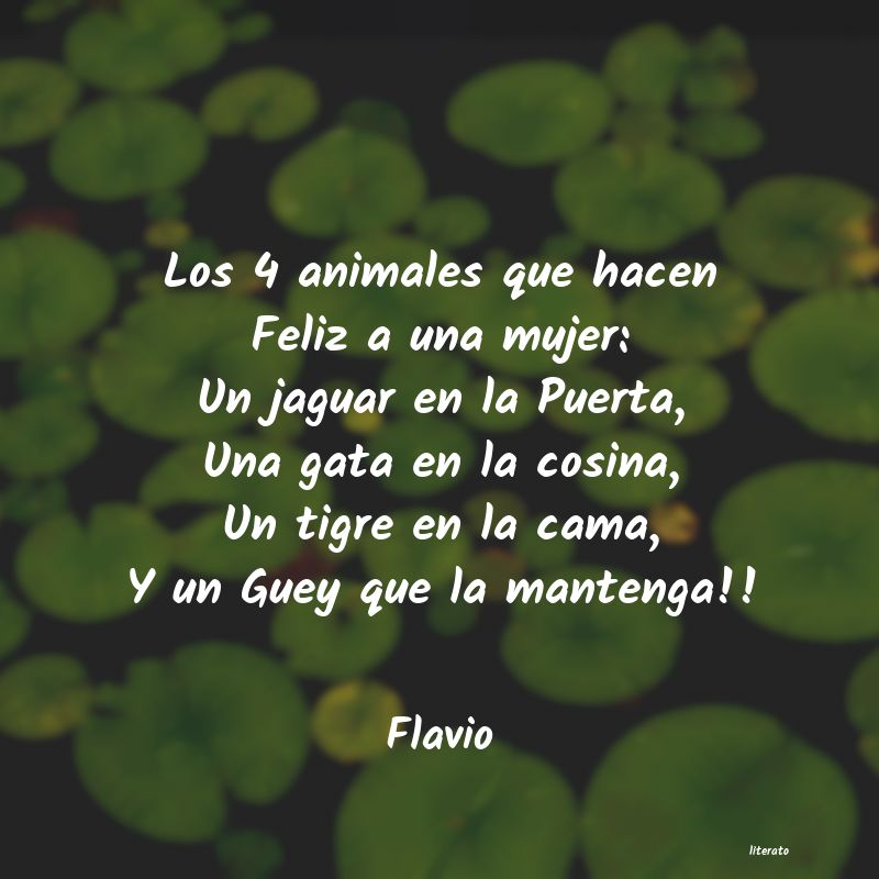 Frases de Flavio