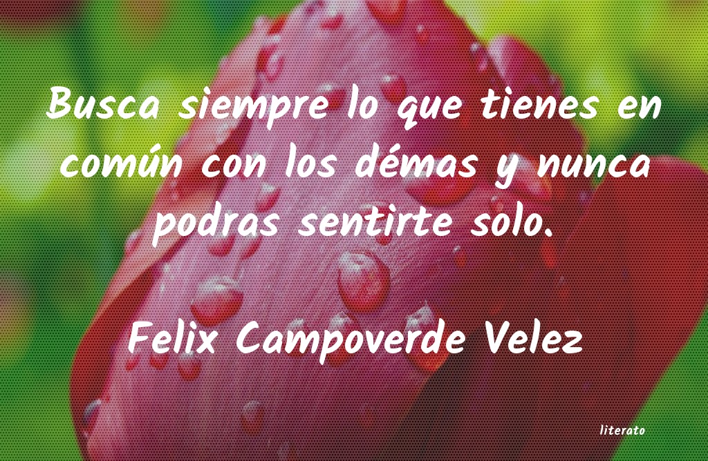 Frases de Felix Campoverde Velez