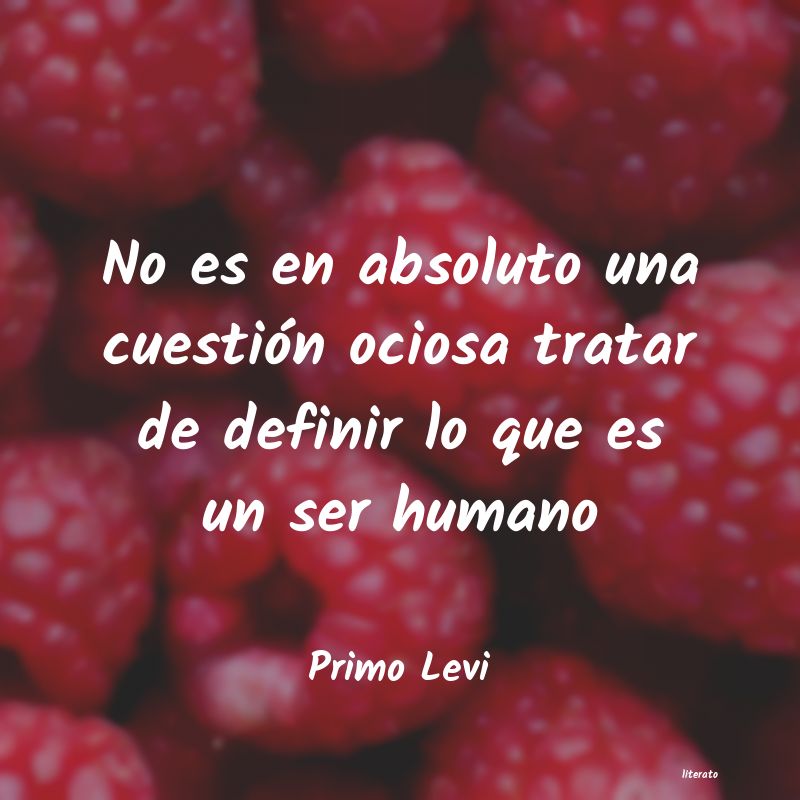 frases de Primo Levi