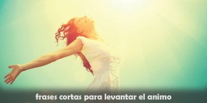 frases cortas para levantar el animo