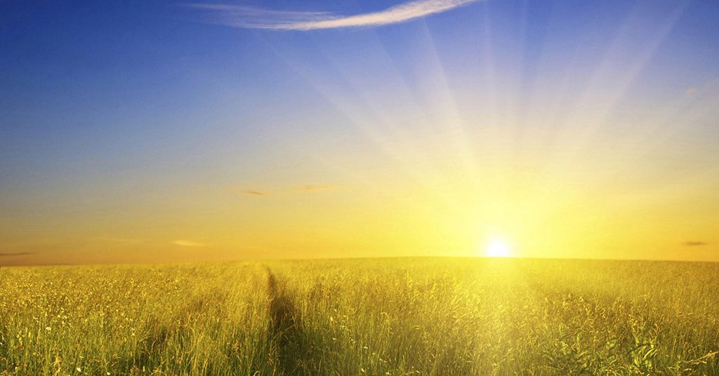 Frases de buenos días