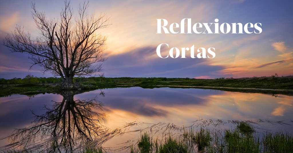 Reflexiones cortas